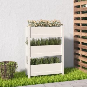 Pood24 taimekast, valge, 77 x 25 x 104,5 cm, männipuit