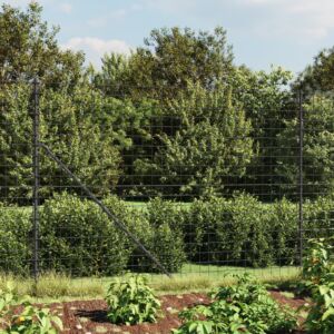 Pood24 traataed vaiadega, antratsiithall, 1,6x10 m