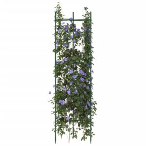 Pood24 tomatitaime tugi 6 tk, 116 cm, teras ja PP