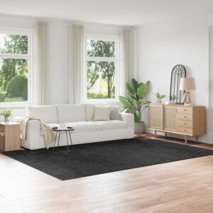 Pood24 Libisemisvastane Shaggy Vaip Tumehall 240 x 340 cm PP
