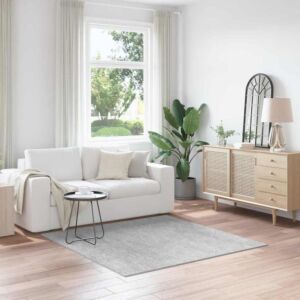 Pood24 Libisemisvastane Shaggy Vaip Hall 160 x 160 cm PP