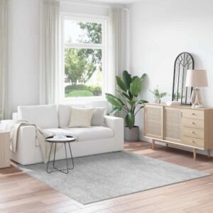 Pood24 Libisemisvastane Shaggy Vaip Hall 200 x 200 cm PP