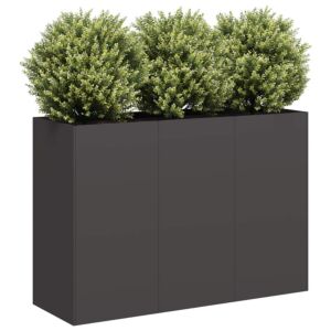 Pood24 taimekast, must, 120x40x80 cm, külmvaltsitud teras