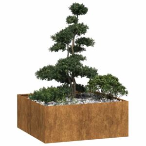 Pood24 taimekast, rooste, 100x100x40 cm, ilmastikukindel teras