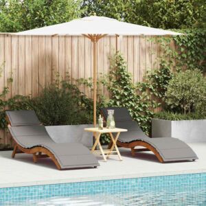Pood24 Lamamistool padjaga 2 pcs Hall 184 x 55 x 64cm Akaatsiapuit