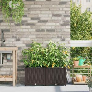 Pood24 Aia istikud Pruun 80 x 40 x 37.5 cm Teras