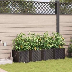 Pood24 Aia istikud Pruun 160 x 40 x 37.5 cm Teras