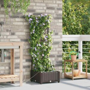 Pood24 Aia istikud Pruun 40 x 40 x 126 cm Teras
