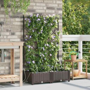 Pood24 Aia istikud Pruun 80 x 40 x 126 cm Teras