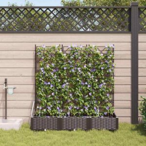 Pood24 Aia istikud Pruun 120 x 40 x 126 cm Teras