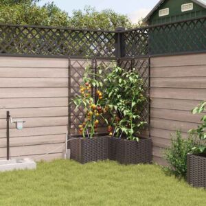 Pood24 Aia istikud Pruun 80 x 80 x 142 cm Teras