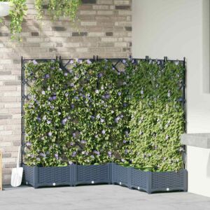 Pood24 Aianduk trellisega 5 pcs Hall 120 x 120 x 125.5 cm PP