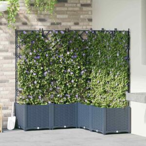Pood24 Aianduk trellisega 5 pcs Hall 120 x 120 x 143 cm PP