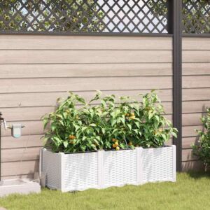 Pood24 Aia istikud Valge 120 x 40 x 37.5 cm Teras