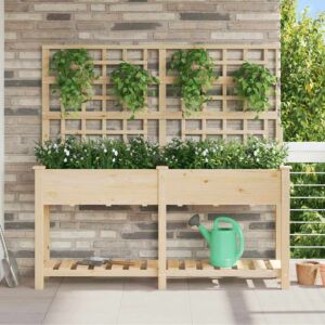 Pood24 Aia istutuspot riiuliga Beež 161 x 46 x 152.5 cm Tugev kuusepuu