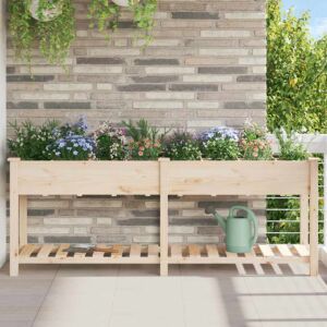 Pood24 Aia istutuspot Beež 203.5 x 53 x 76.5 cm Tugev kuusepuu