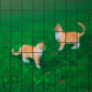 Проволочная сетка Nature квадратная 1 x 2,5 м 25 мм сталь с пластиковым покрытием зеленая