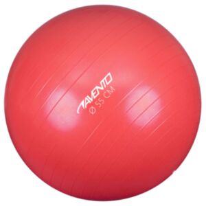 Avento fitness-pall 55 cm läbimõõt, roosa