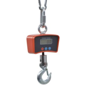Pood24 elektrooniline kraanakaal 1000 kg