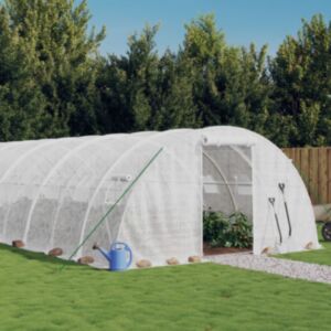 Pood24 kasvuhoone terasraamiga, valge, 24 m², 6x4x2 m