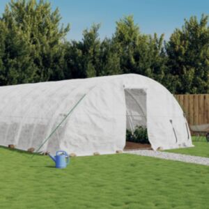 Pood24 kasvuhoone terasraamiga, valge, 30 m², 6x5x2,3 m