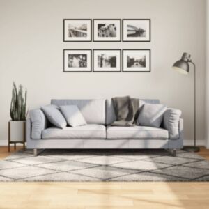 Pood24 kõrge narmaga Shaggy vaip, beež ja antratsiithall, 140x200 cm
