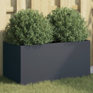 Pood24 taimekast antratsiithall 62x30x29 cm, külmvaltsitud teras