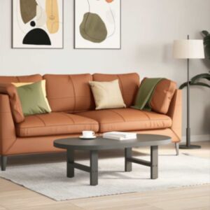 Pood24 kohvilaua jalad, 2 tk, antratsiithall, 50x(30-31) cm teras