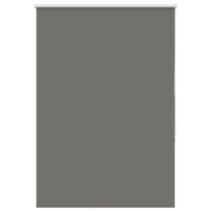 Pood24 pimendav ruloo hall 105x175 cm kanga laius 40,7 cm polüester