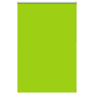 Pood24 pimendav ruloo lehed rohelised 165x210 cm kanga laius 161,6 cm