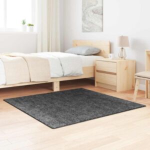 Pood24 Libisemisvastane Shaggy Vaip Tumehall 120 x 120 cm PP