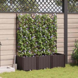 Pood24 Aianduk trellisega 3 pcs Pruun 120 x 40 x 143 cm PP