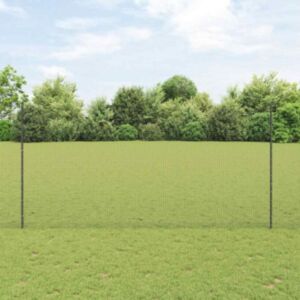 Pood24 Aia Aed 2 tk komplekt Hall Tsinkteras 10 x 1,5 m Vastupidav