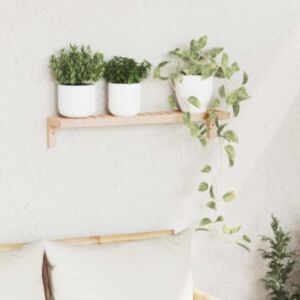 Pood24 Seinale riputatav riiul Beež 62 x 10 x 12.5 cm Pähklipuit