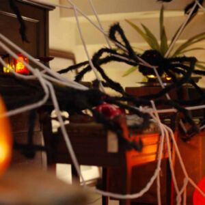 Pood24 Halloween Ämblik Dekoratsioon Võrkudega 4 pcs Must valge 150 cm