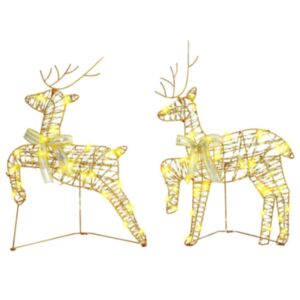 Pood24 LED Puhlid koos 40 LED-iga 2 pcs Soe valge PET