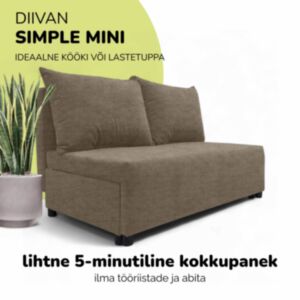 Kahekohaline lahtikäiv diivan panipaigaga MINI