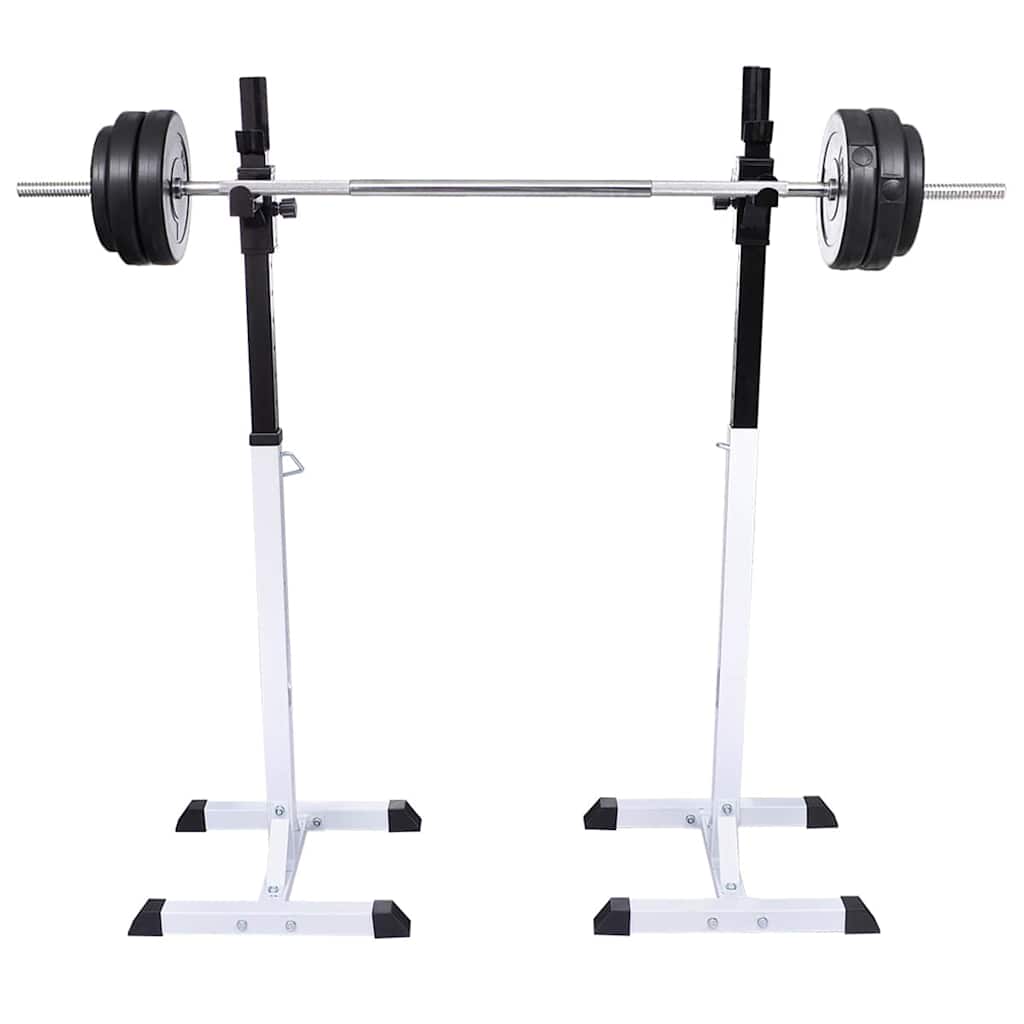 Kangi- ja kükiraam kangi ja hantlitega 30,5 kg