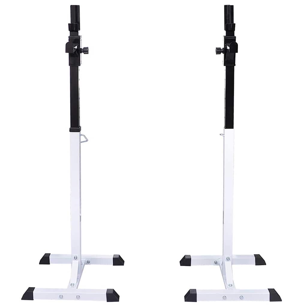 Kangi- ja kükiraam kangi ja hantlitega 30,5 kg