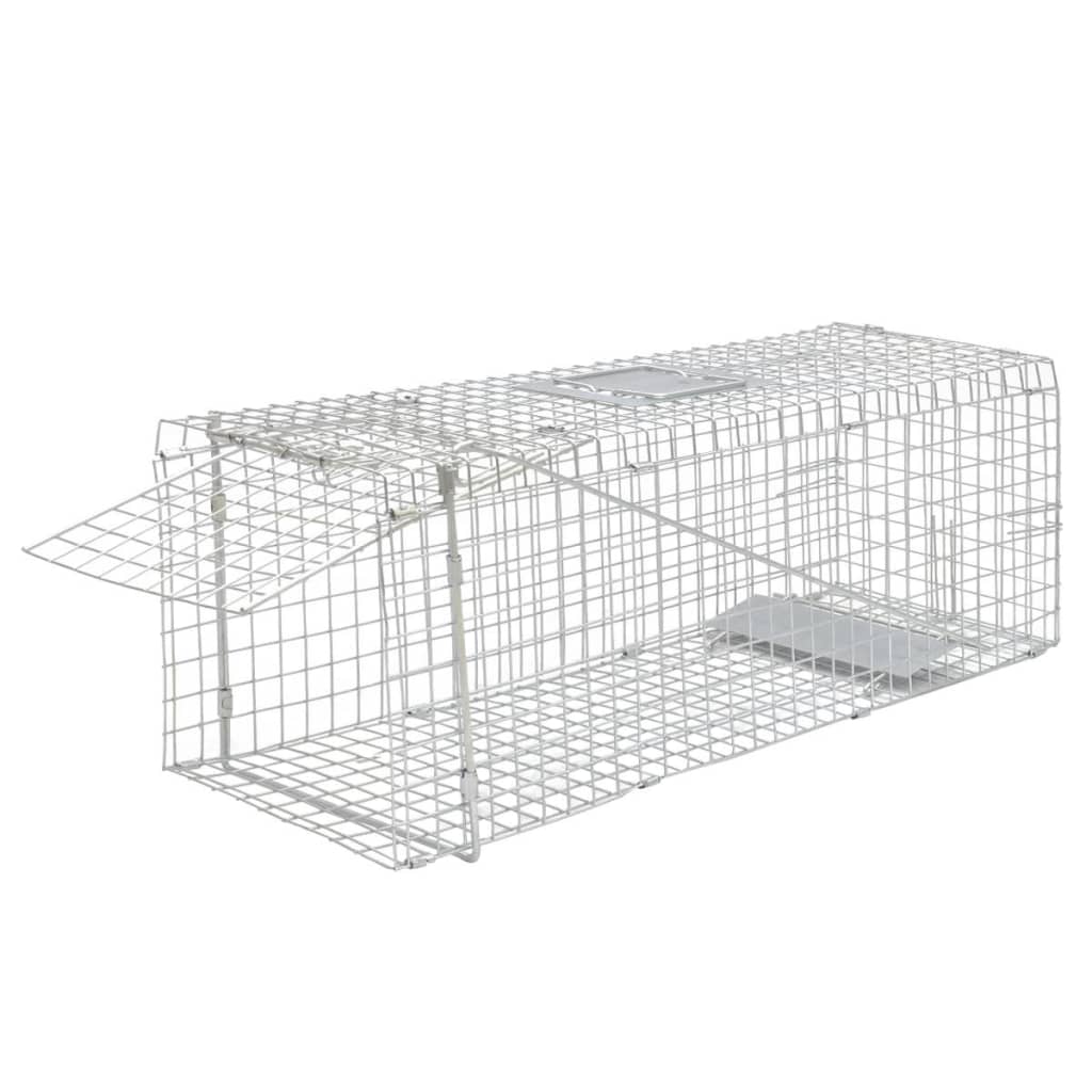Tsingitud eluslõks 80 cm
