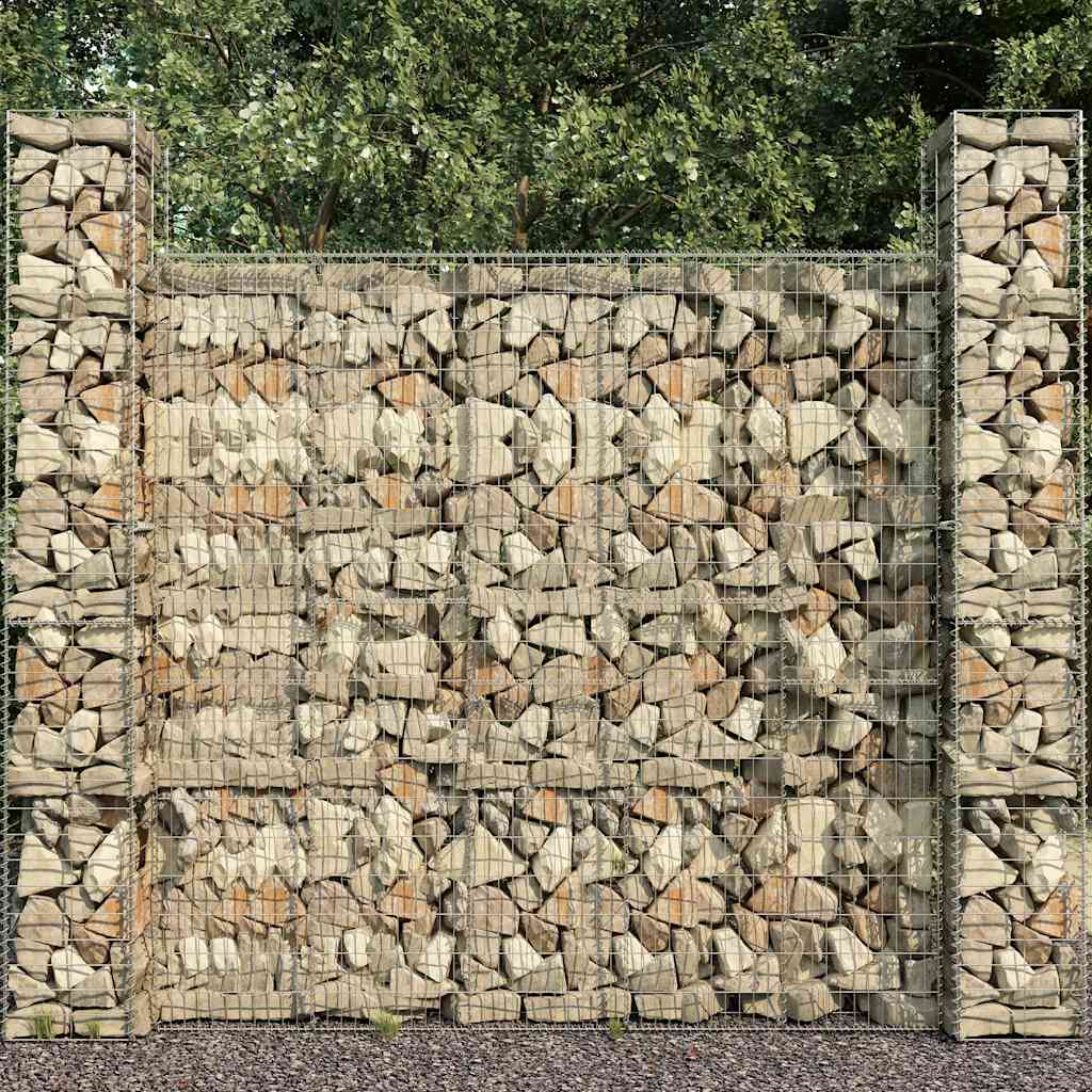 Gabioonsein kattega, tsingitud teras, 600 x 50 x 200 cm