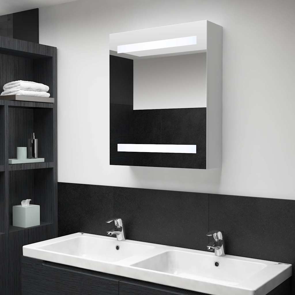 LED-vannitoa peegelkapp, 50x13,5x60 cm
