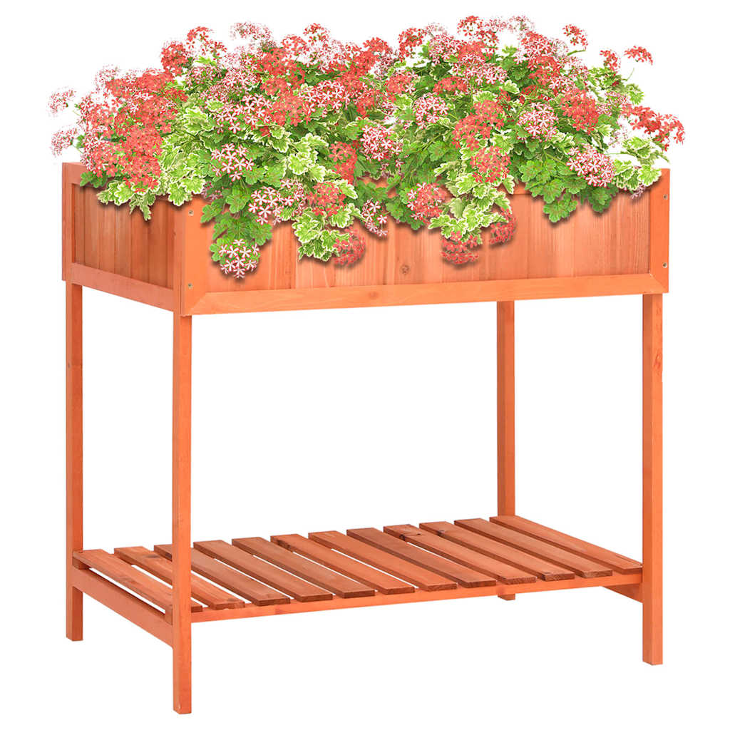 Maitsetaimede kast, 80 x 60 x 80 cm, nulupuit