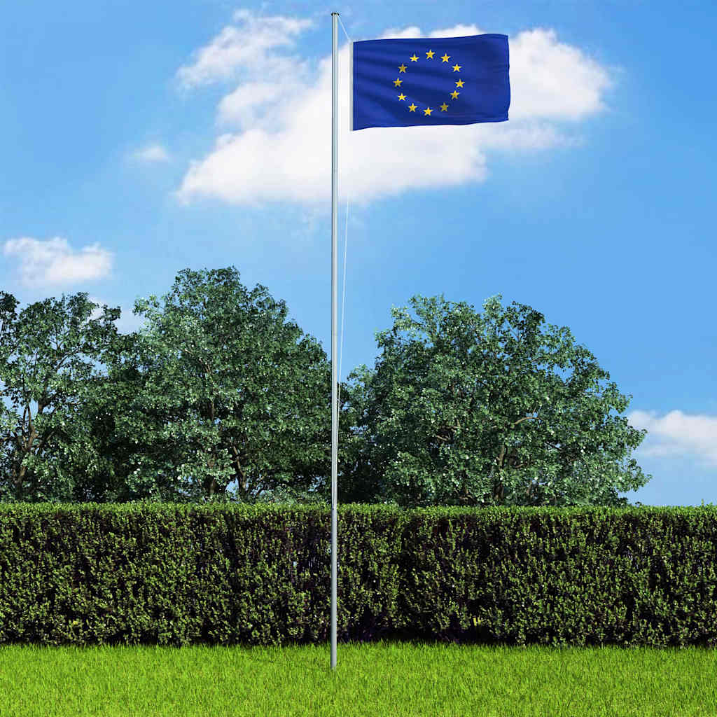 Euroopa Liidu lipp 90 x 150 cm