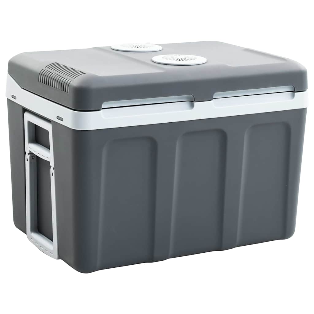 Kaasaskantav termoelektriline jahutuskast 40 l 12 V 230 V E