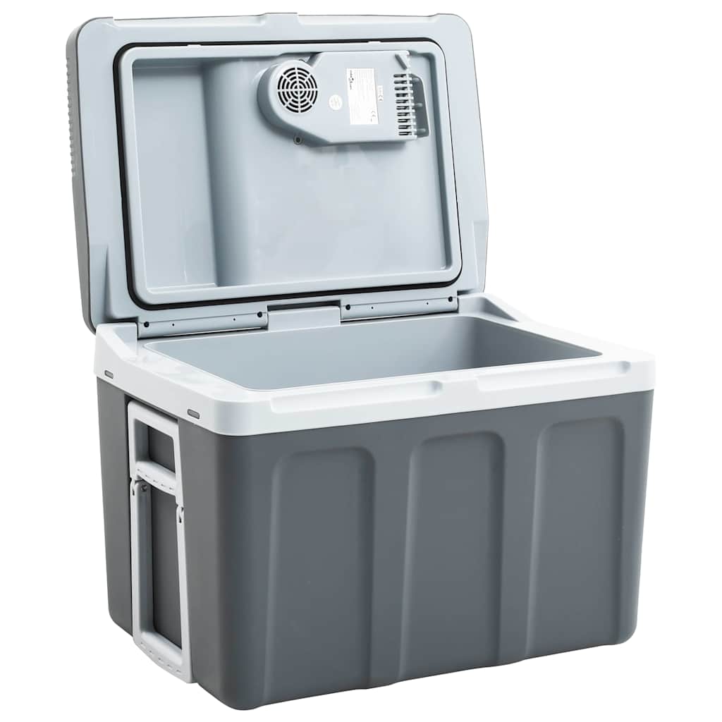 Kaasaskantav termoelektriline jahutuskast 40 l 12 V 230 V E