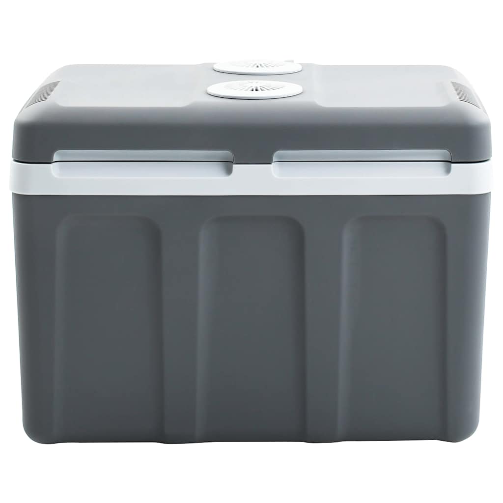 Kaasaskantav termoelektriline jahutuskast 40 l 12 V 230 V E