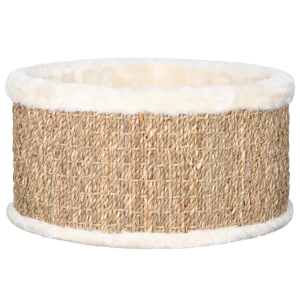 Ümmargune kassikorv, 35 cm, mererohi