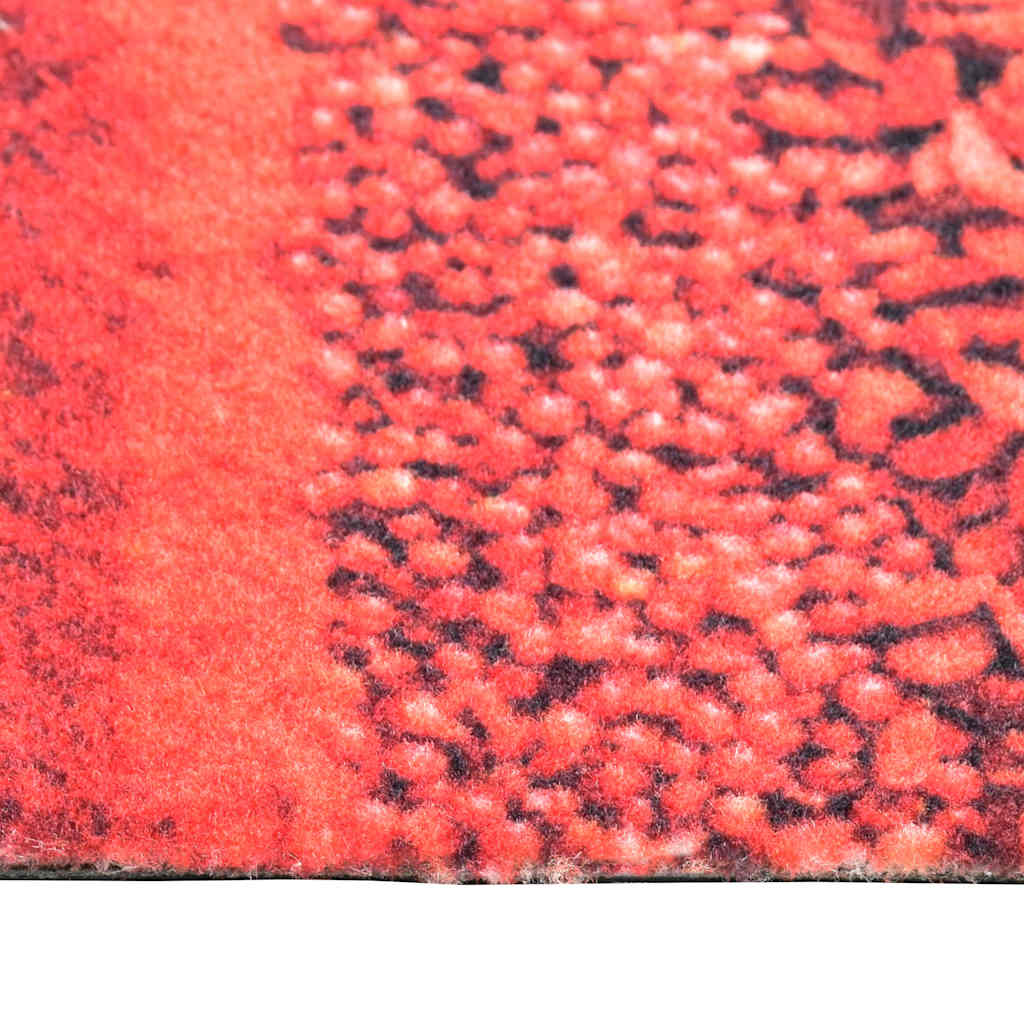 Köögivaip, pestav, vürtsid, 60 x 300 cm