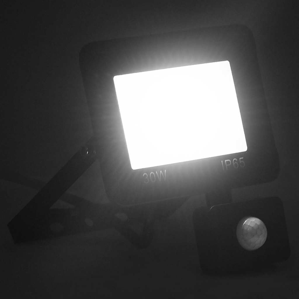 Anduriga LED prožektor, 30 W, külm valge